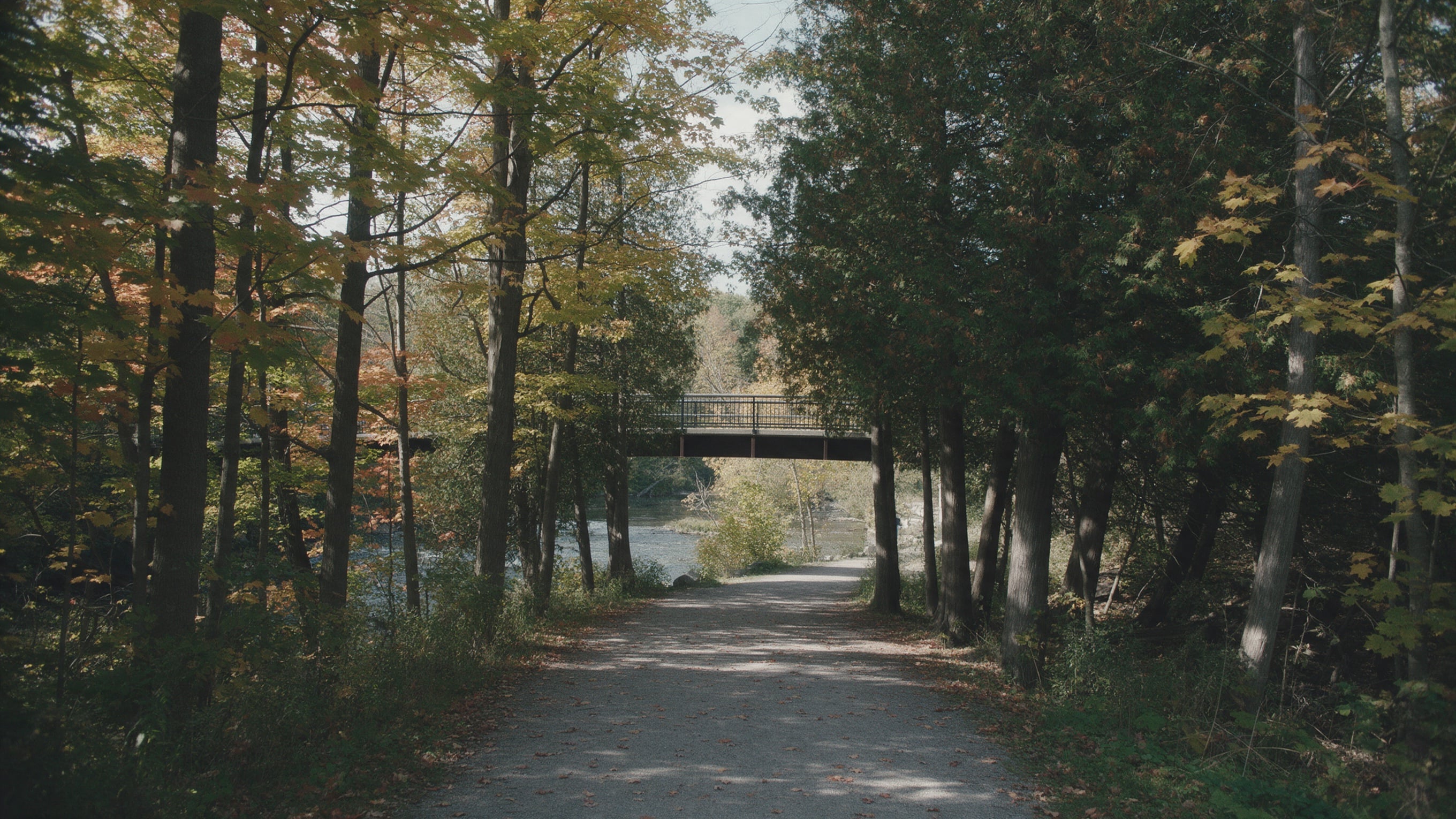 Bram West, Brampton